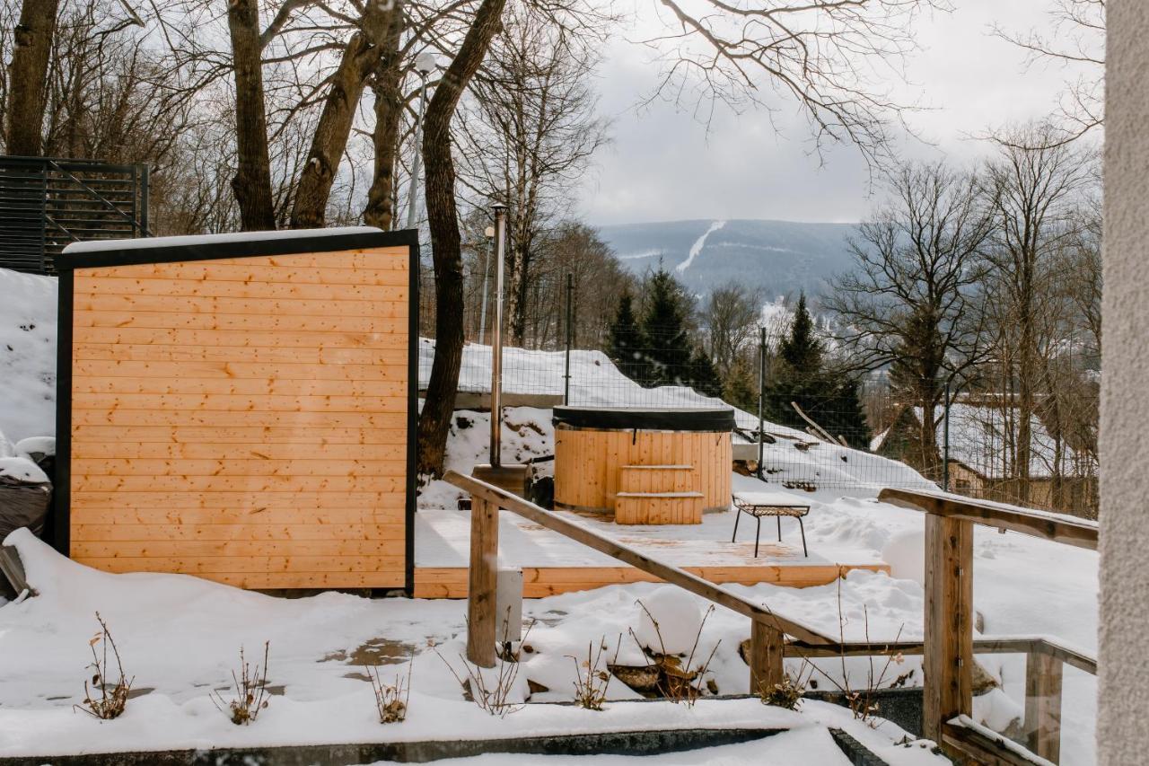 Apartamenty Larice Świeradów Zdrój Exterior foto